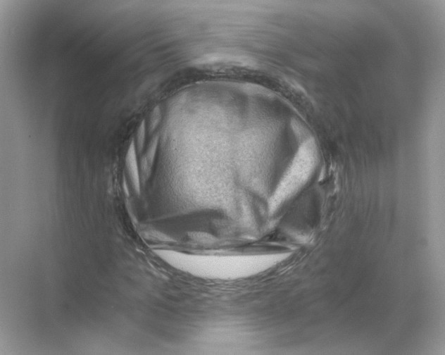 X0000068900965200606021941