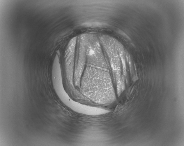 X0000068900966200606021941