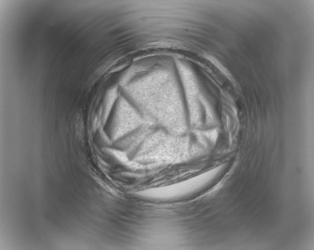 X0000068900969200606021941