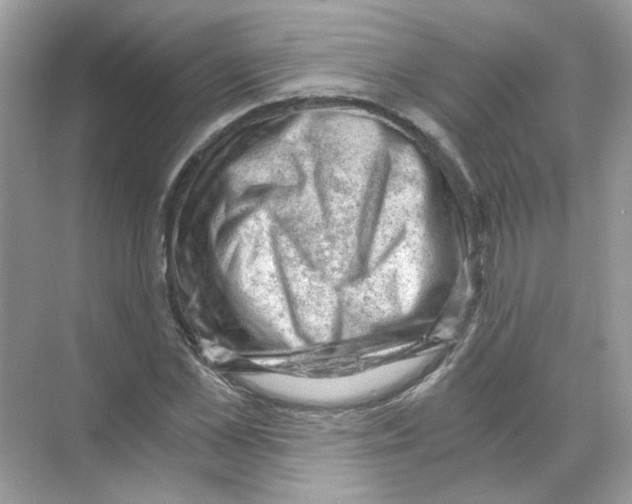 X0000068900973200606021941