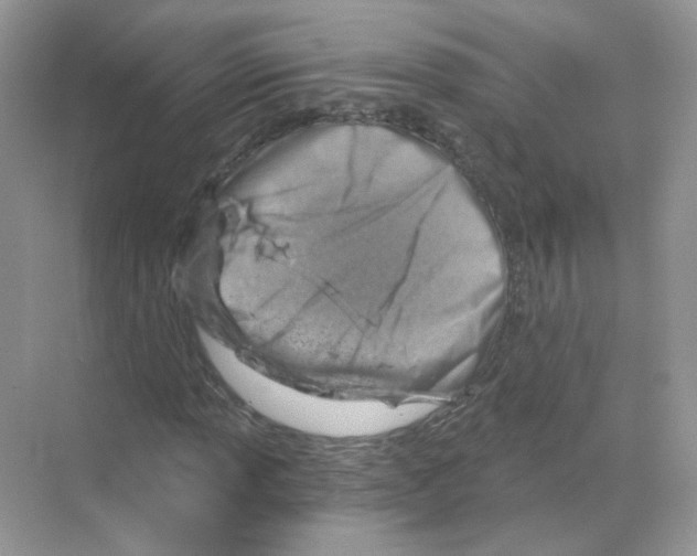 X0000068901013200606021940