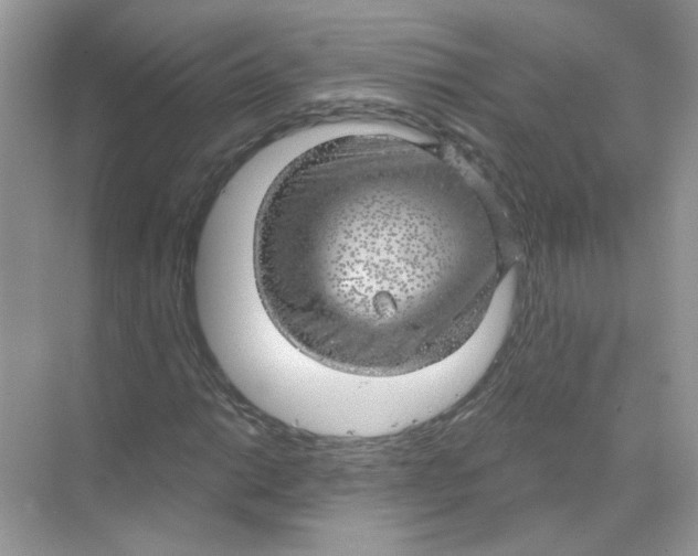 X0000068901014200606021940