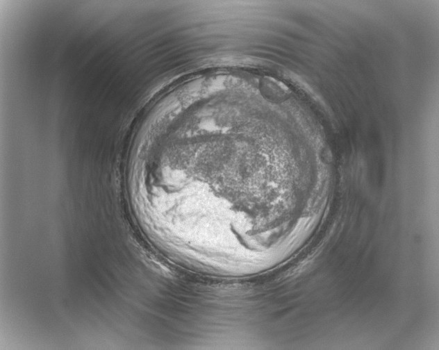 X0000068901025200606021940