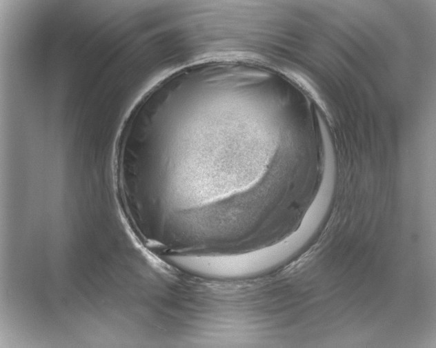 X0000068901046200606021940