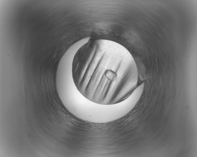 X0000068901058200606021939