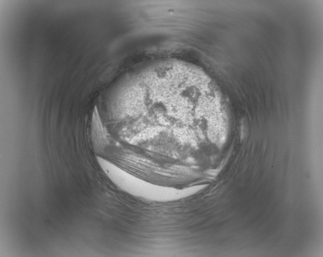 X0000068901059200606021939