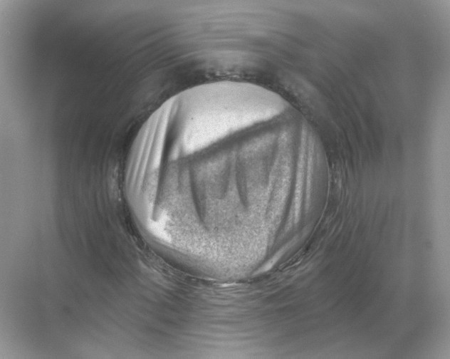 X0000068901060200606021939