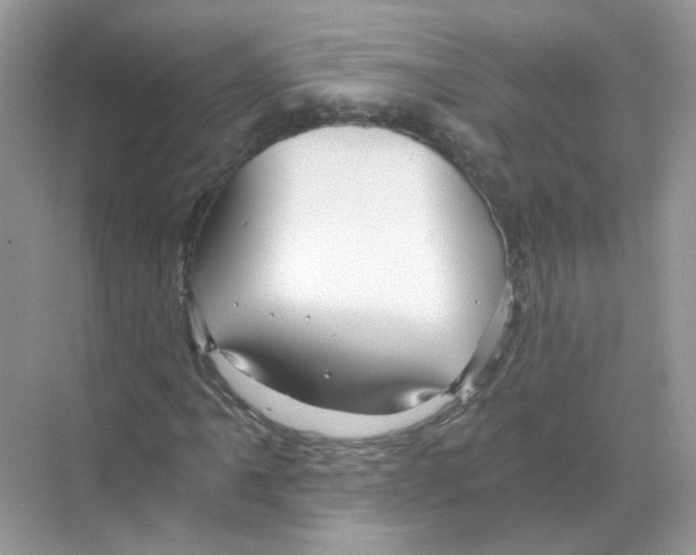 X0000068901061200606021939
