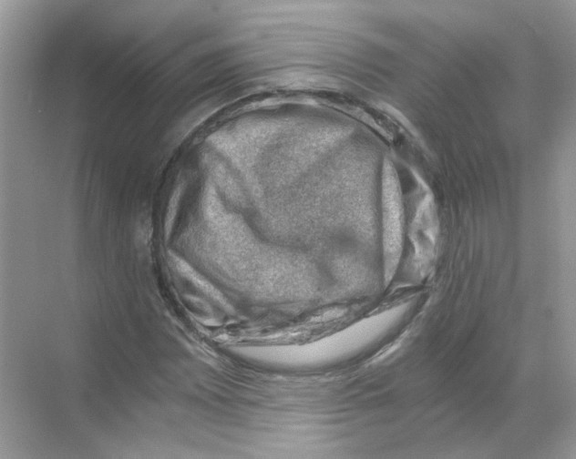X0000068901065200606021939