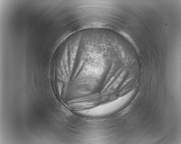 X0000068901081200606021939