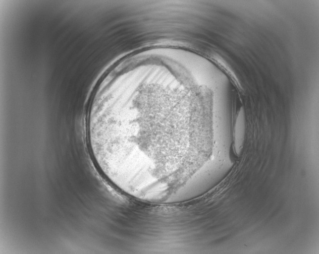 X0000068901092200606021939