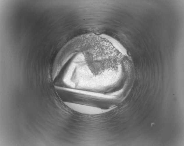X0000068901106200606021938