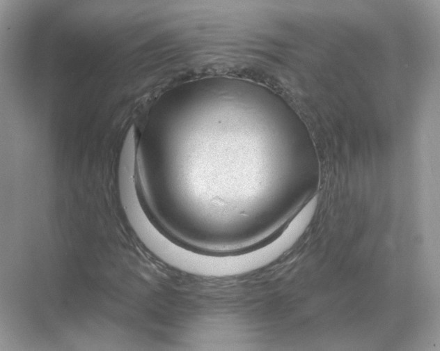 X0000068901109200606021938