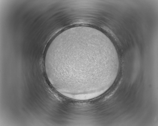 X0000068901121200606021938