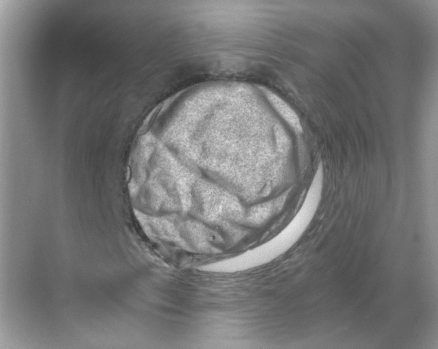 X0000068901153200606021938