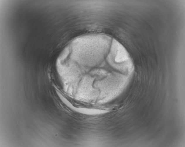 X0000068901154200606021938