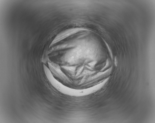 X0000068901155200606021938