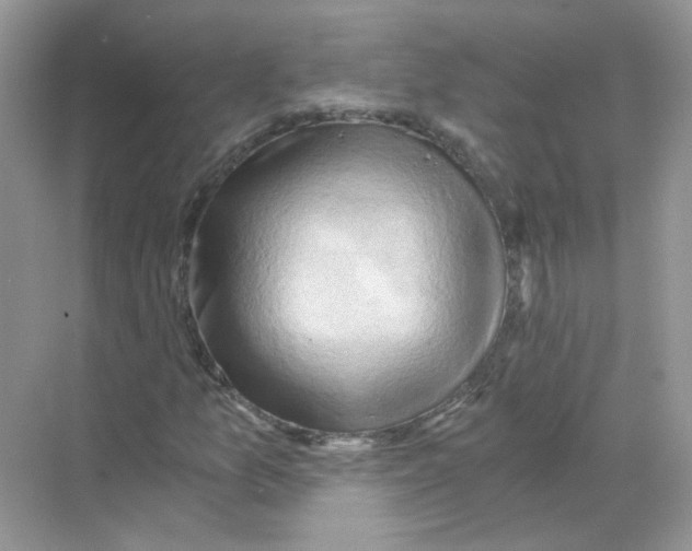 X0000068901157200606021938