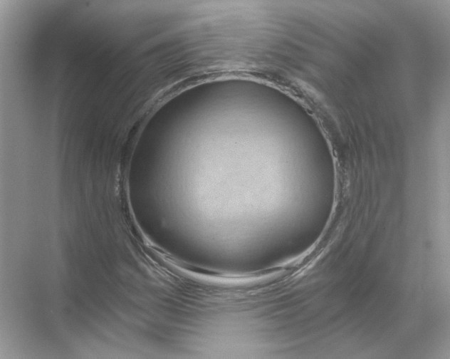 X0000068901161200606021938