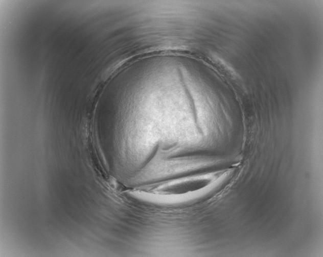 X0000068901169200606021938