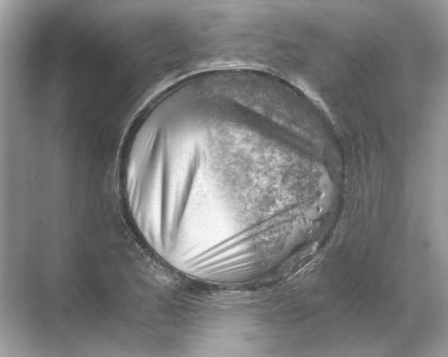 X0000068901173200606021937