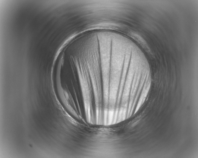 X0000068901180200606021937