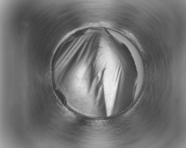 X0000068901184200606021937