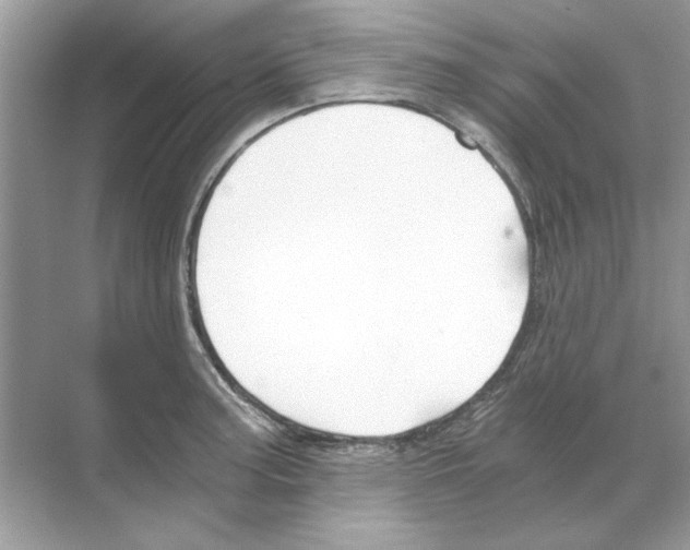 X0000068901187200606021937