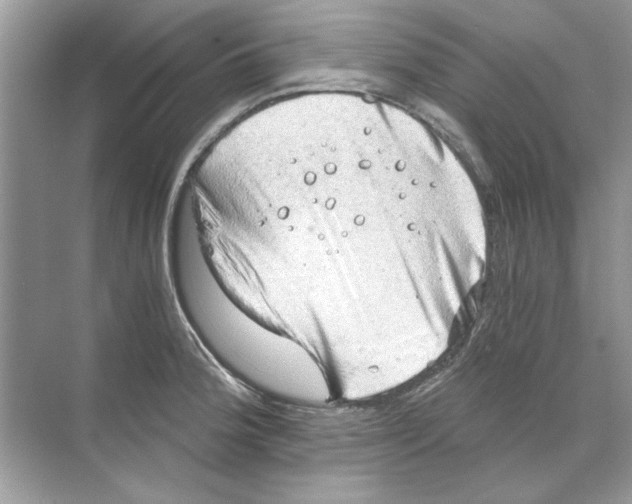 X0000068901188200606021937