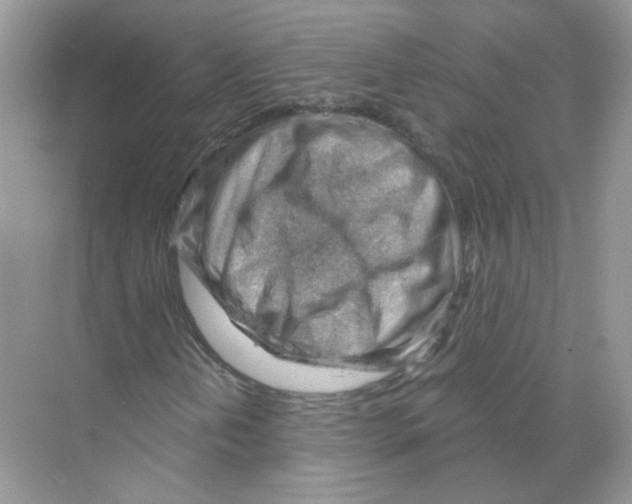 X0000068901202200606021936