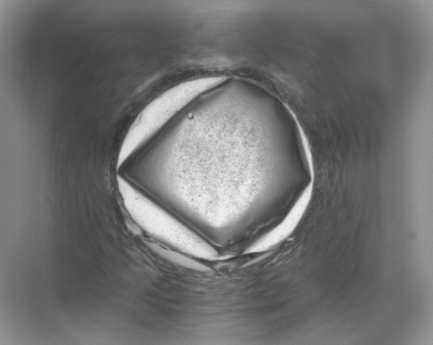 X0000068901205200606021936
