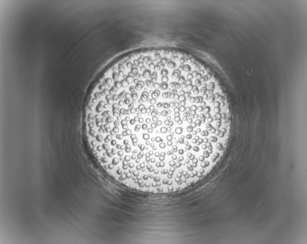 X0000068901220200606021937