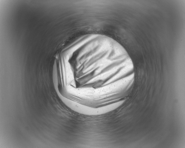 X0000068901250200606021936