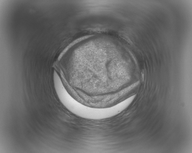 X0000068901251200606021936