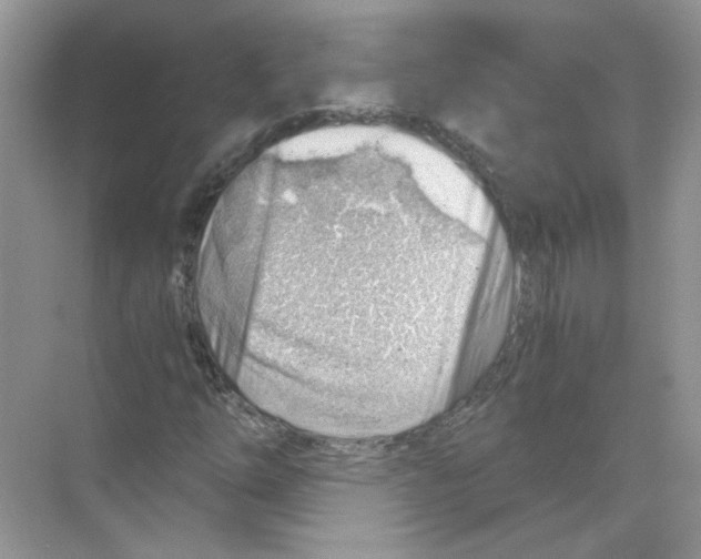 X0000068901254200606021936