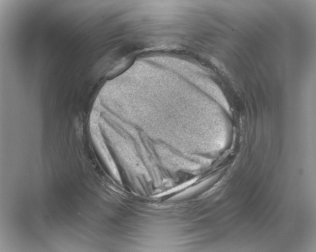 X0000068901257200606021936