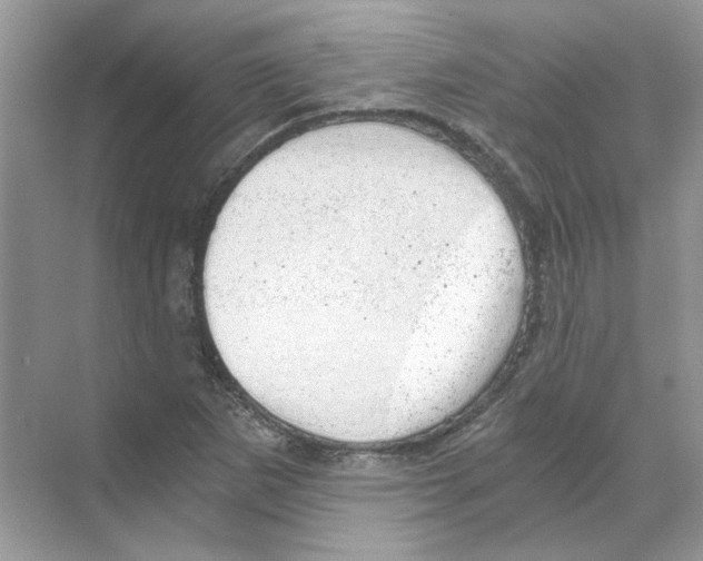 X0000068901265200606021936