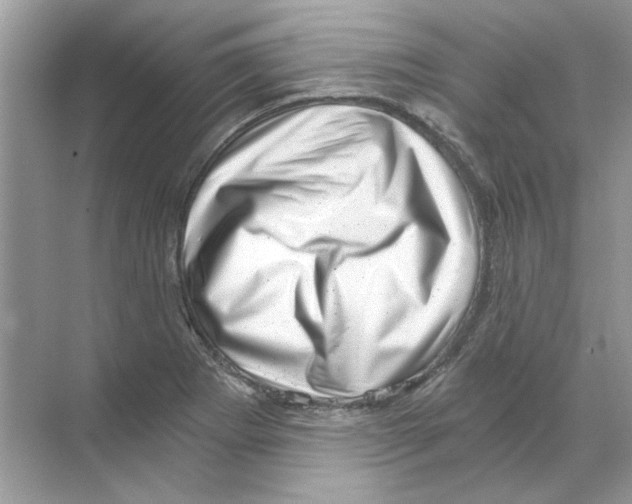 X0000068901273200606021936