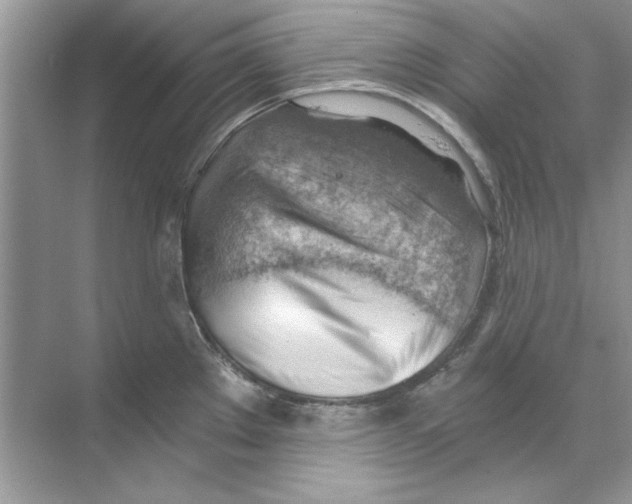 X0000068901289200606021936