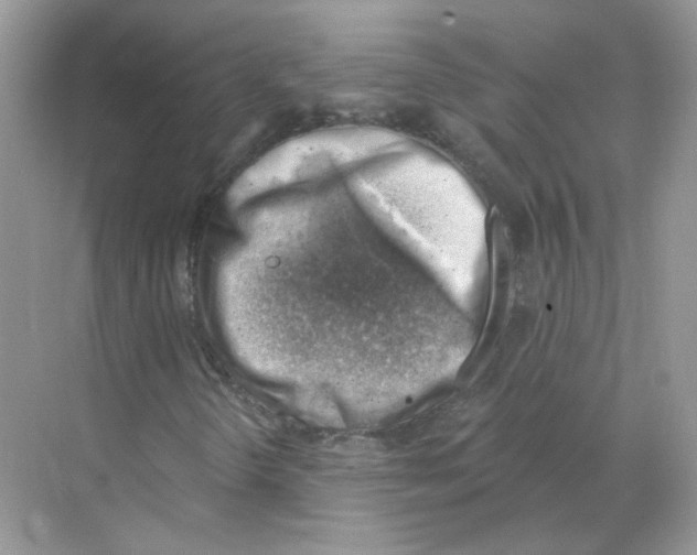 X0000068901298200606021935