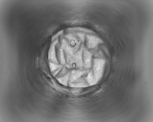 X0000068901300200606021935