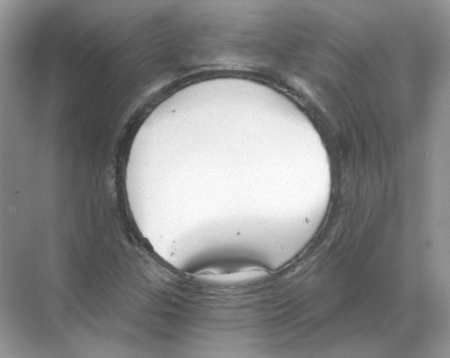 X0000068901307200606021935