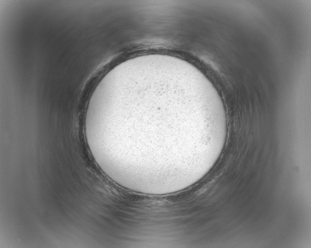 X0000068901309200606021935