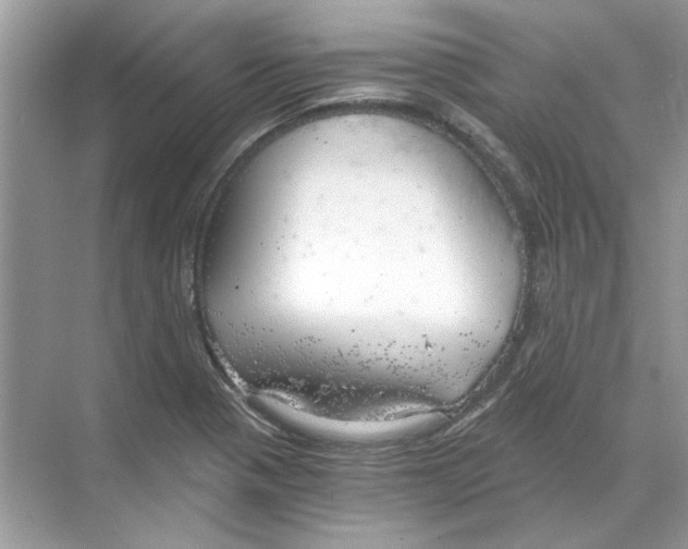 X0000068901321200606021935