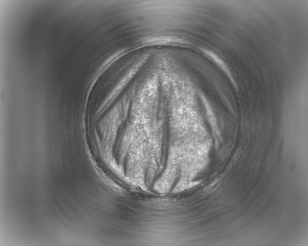 X0000068901330200606021935