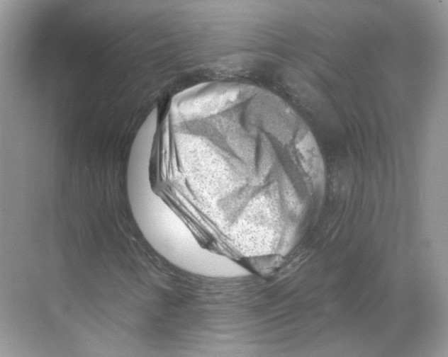 X0000068901346200606021935