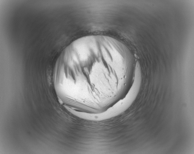X0000068901348200606021935