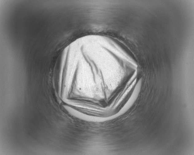 X0000068901349200606021934