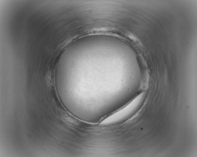 X0000068901353200606021934