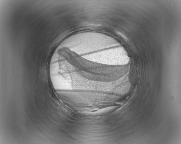 X0000068901354200606021934